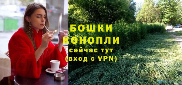 шишки Иннополис