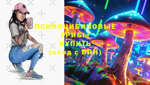 шишки Иннополис