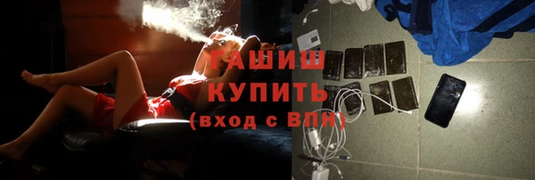 шишки Иннополис