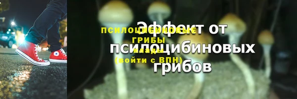 шишки Иннополис