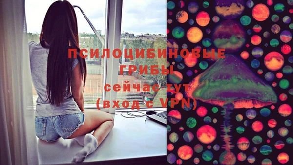 шишки Иннополис