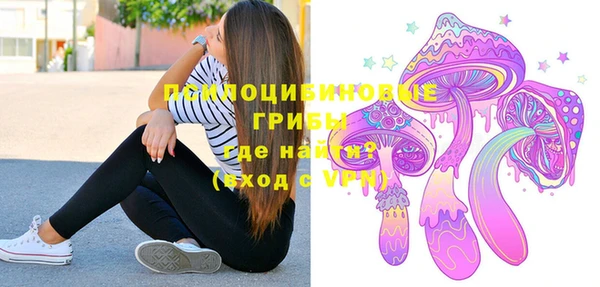 меф Инта