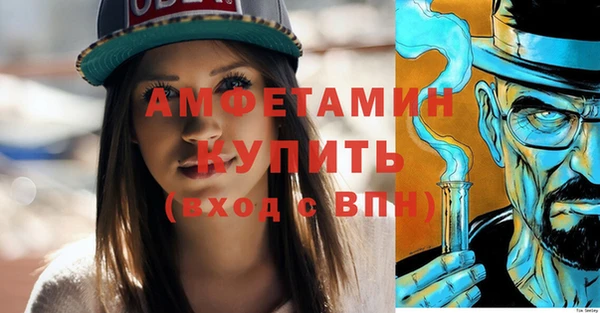 шишки Иннополис