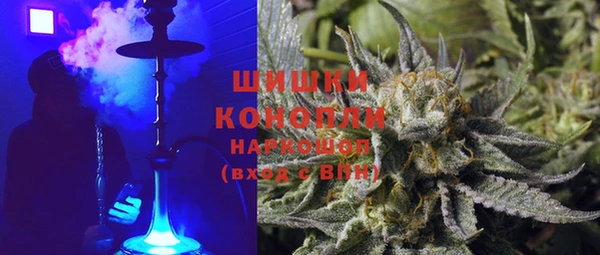 шишки Иннополис