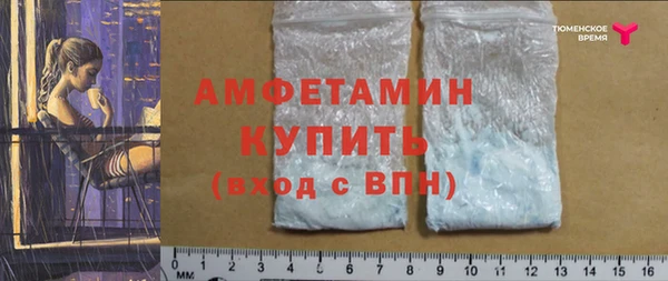 шишки Иннополис