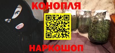 сатива Краснознаменск