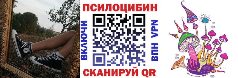 купить наркотики цена  Камышлов  Галлюциногенные грибы мухоморы 