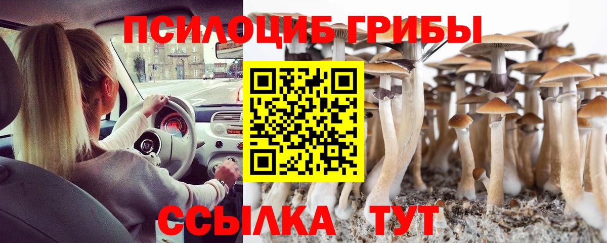 Codein Камышлов