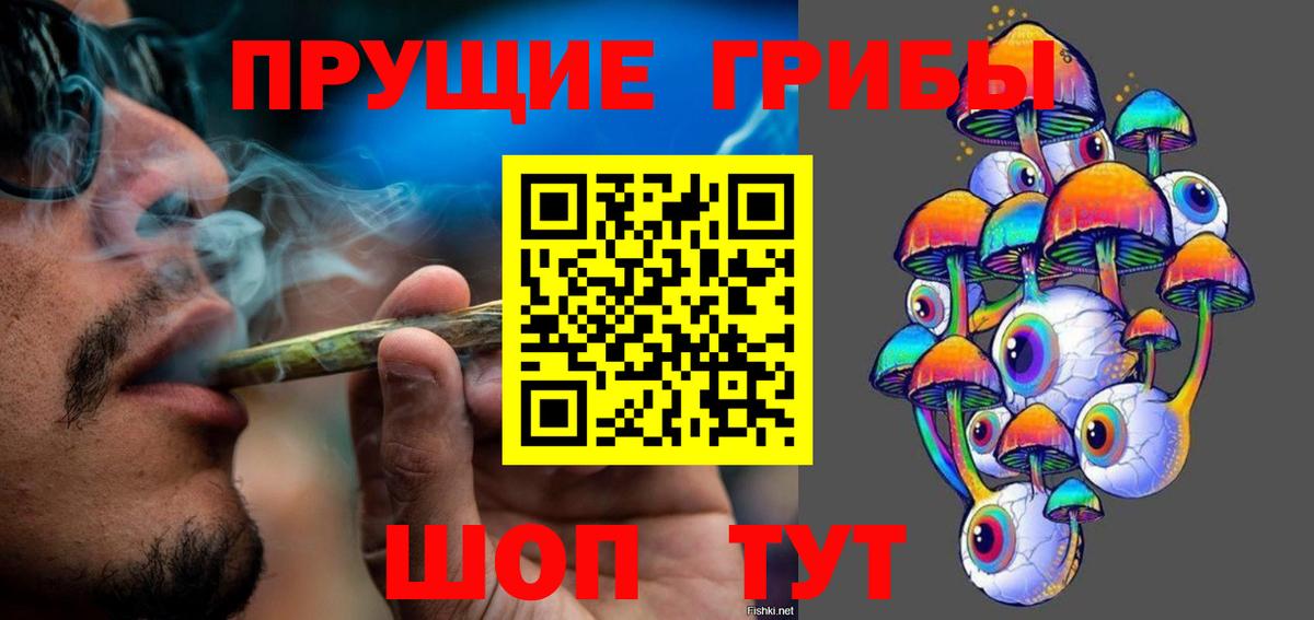 Галлюциногенные грибы Psilocybe  Галлюциногенные грибы MAGIC MUSHROOMS  Вход с VPN  Камышлов 