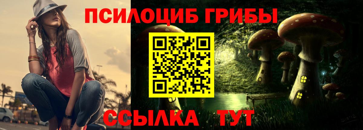 Галлюциногенные грибы Psilocybine cubensis Камышлов