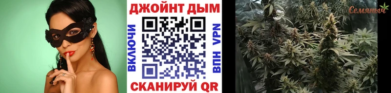 Каннабис сатива  даркнет как зайти  Камышлов 